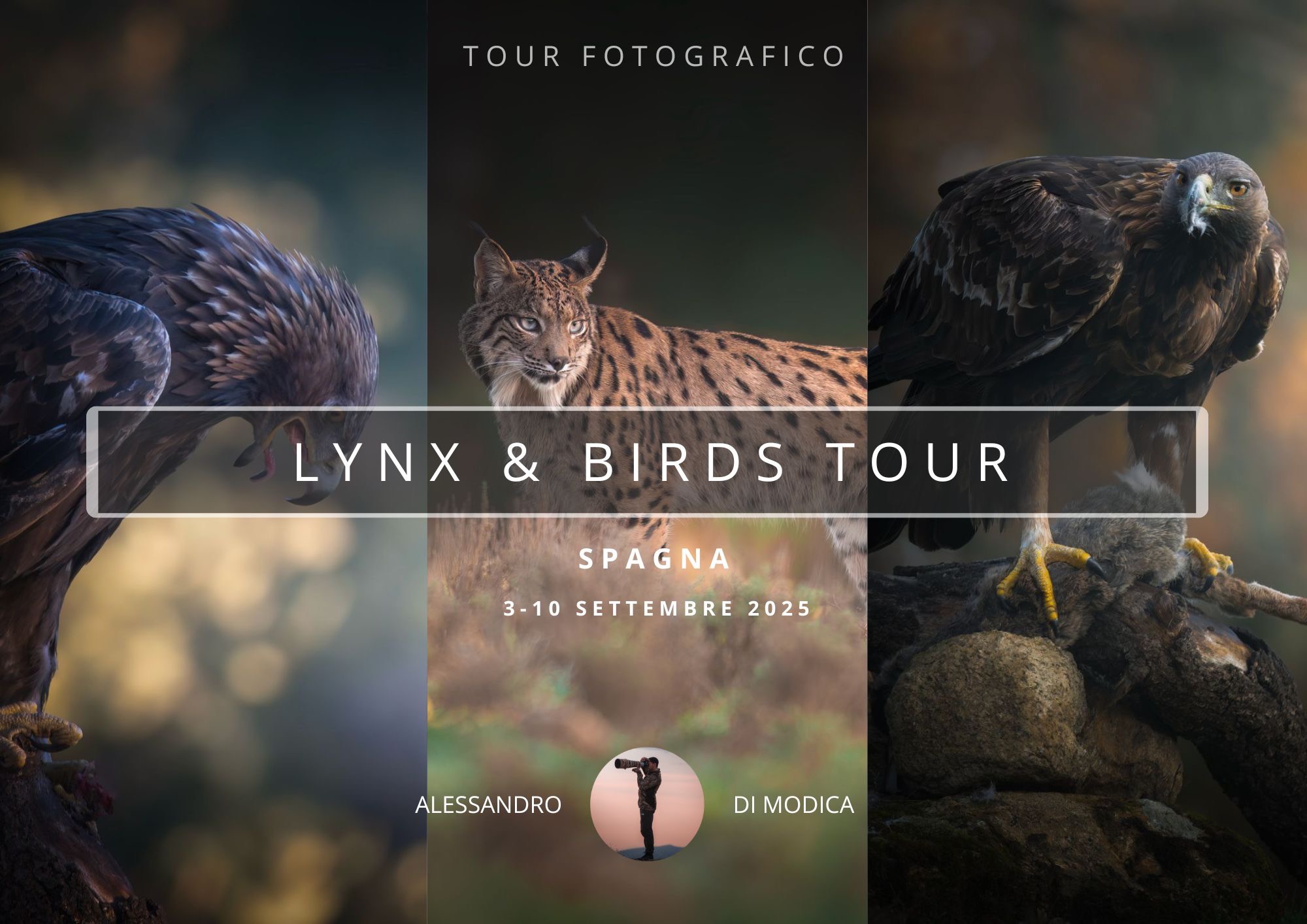 LYNX & BIRDS 3-10 NOVEMBRE 2025